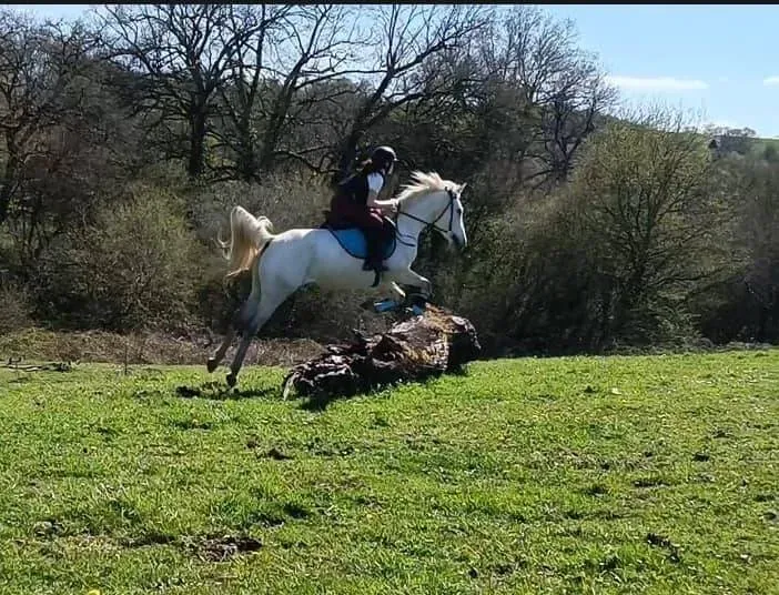 Stage TREC en Limousin