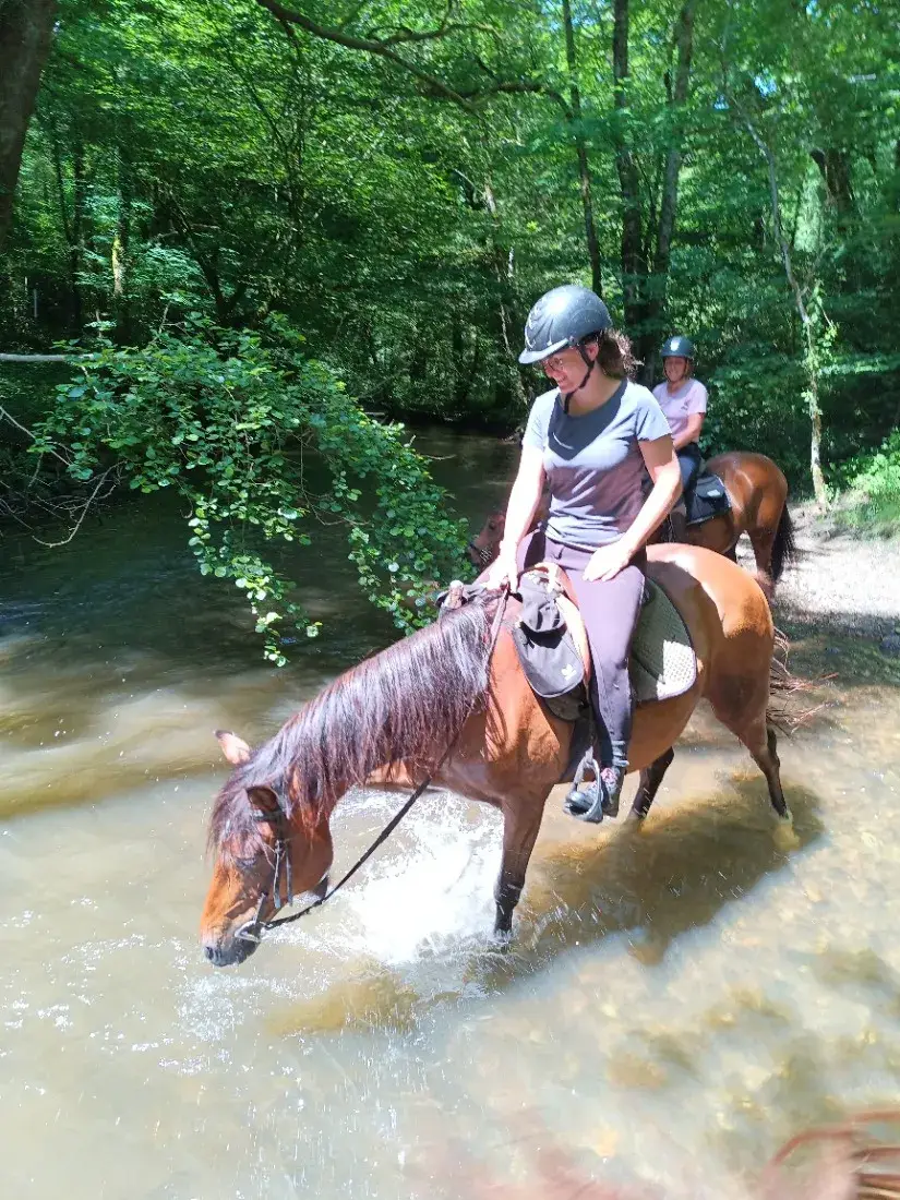 Stage d'équitation à Saint-Genest-sur-Roselle