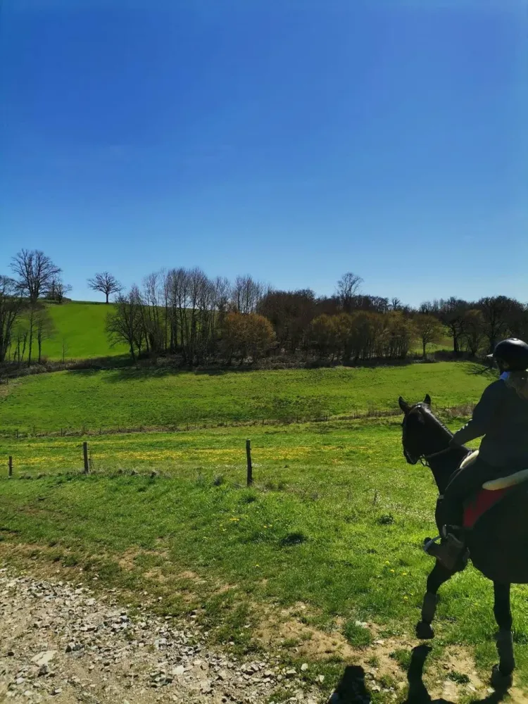 Les monts du Cantal