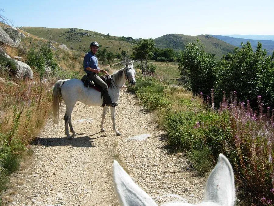 Randonnées chevaux à Saint-Genest-sur-Roselle