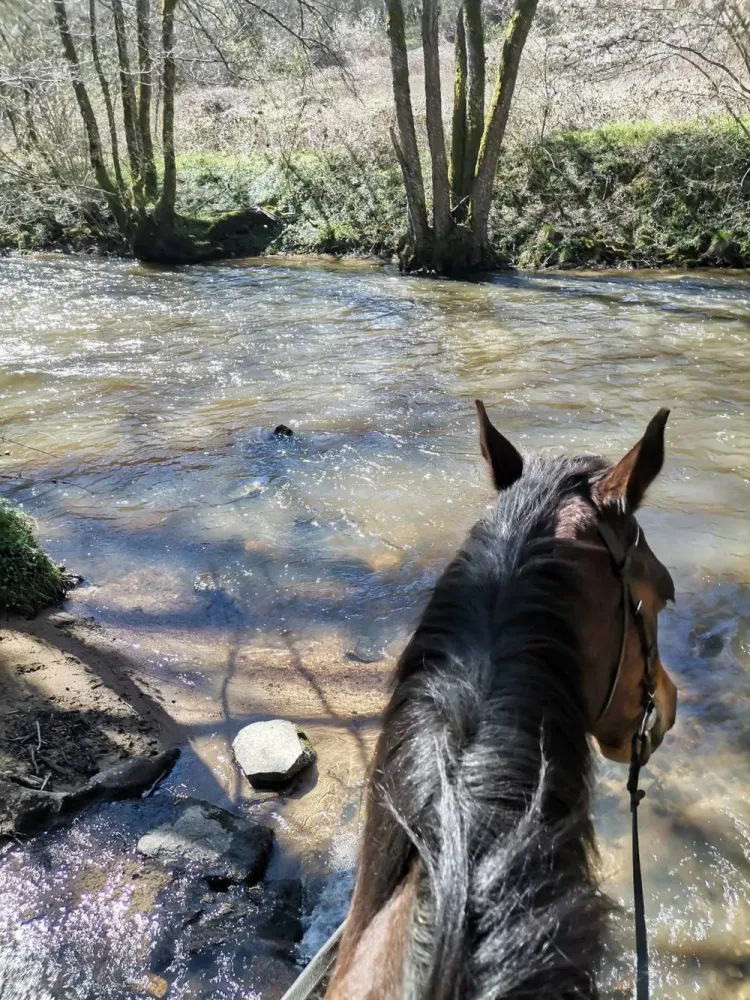 Vallée de la Dordogne
