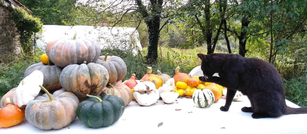 Vente à la ferme à Saint-Genest-sur-Roselle