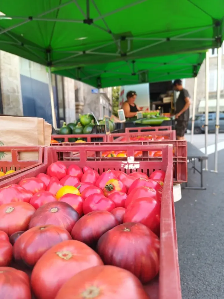 tale de marché-vente direct légumes