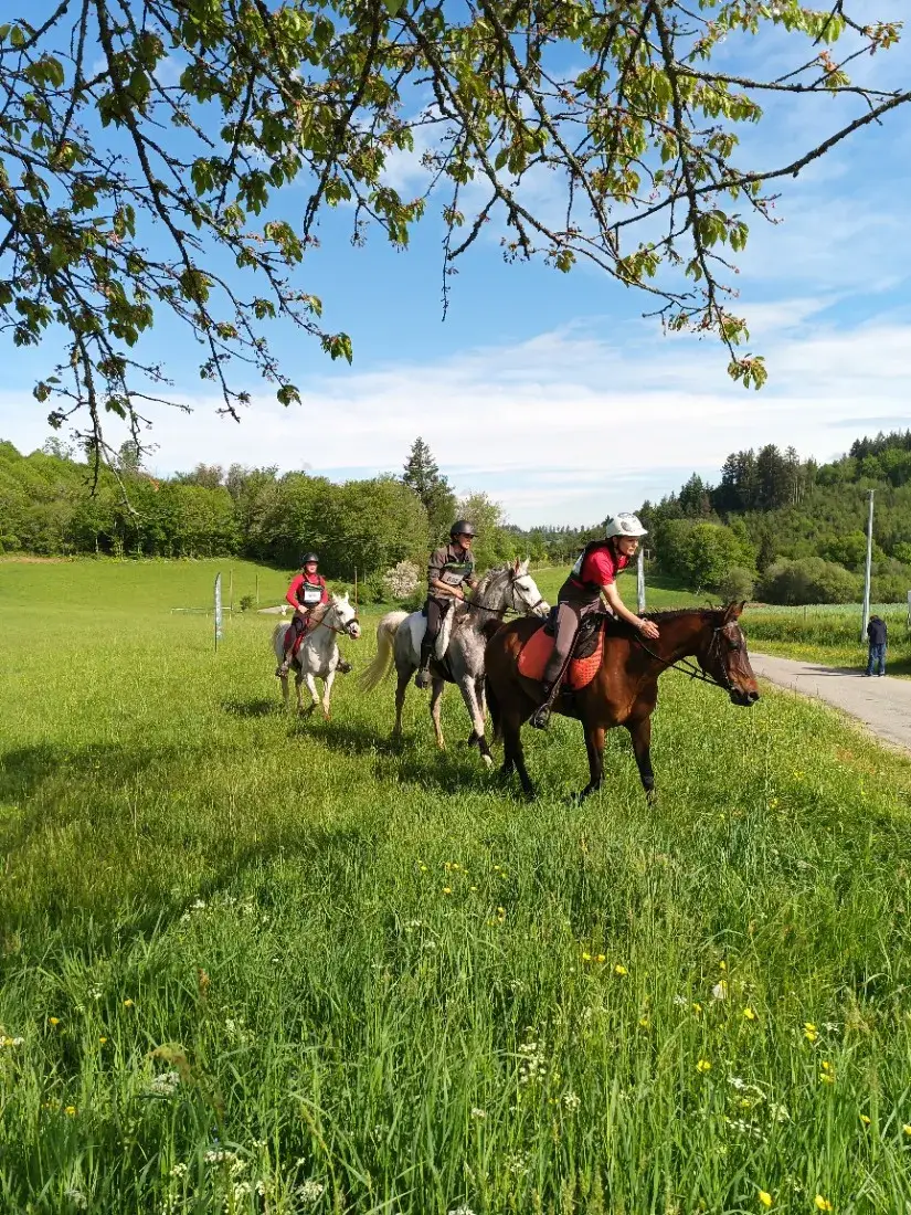 Stage d’endurance en Limousin